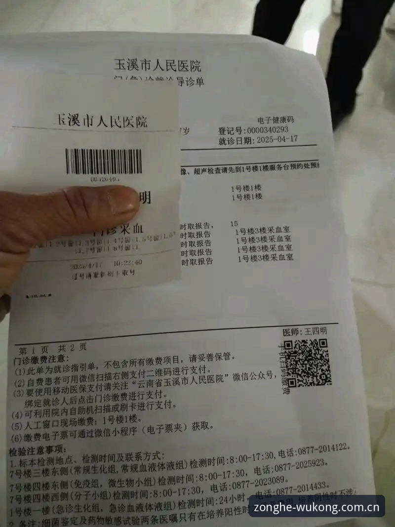 悟空体育平台深度评测：从下载到使用的全流程体验报告